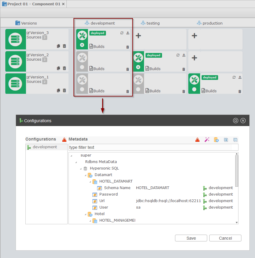 environment metadata configuration